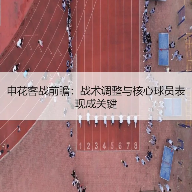 申花客战前瞻:战术调整与核心球员表现成关键